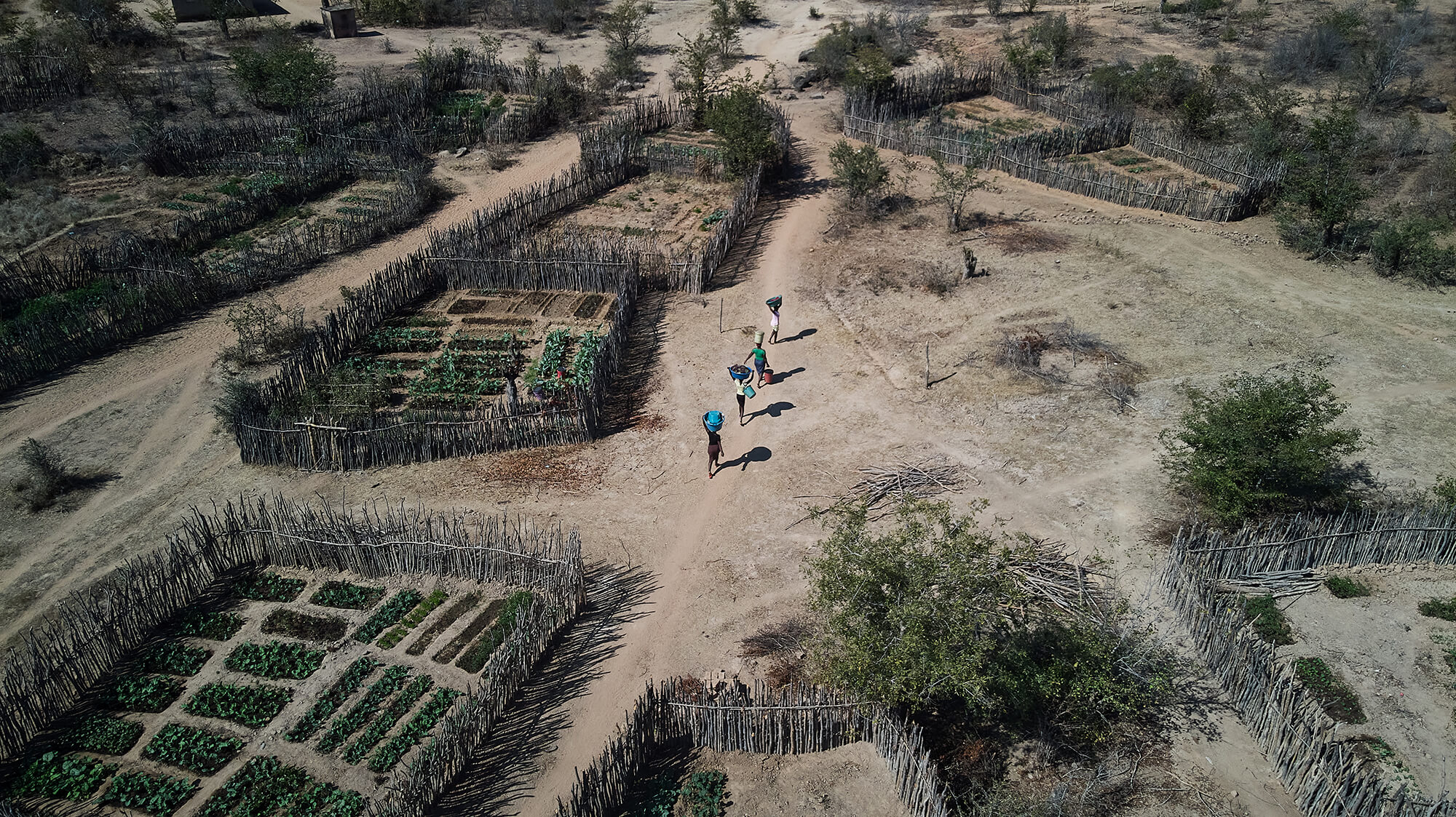 Siangwemu villagers balance buckets of water on their heads as they return from the community pump.