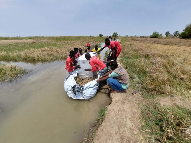 Travel Opens Doors and Insight Into South Sudan’s Lifesaving Programmes