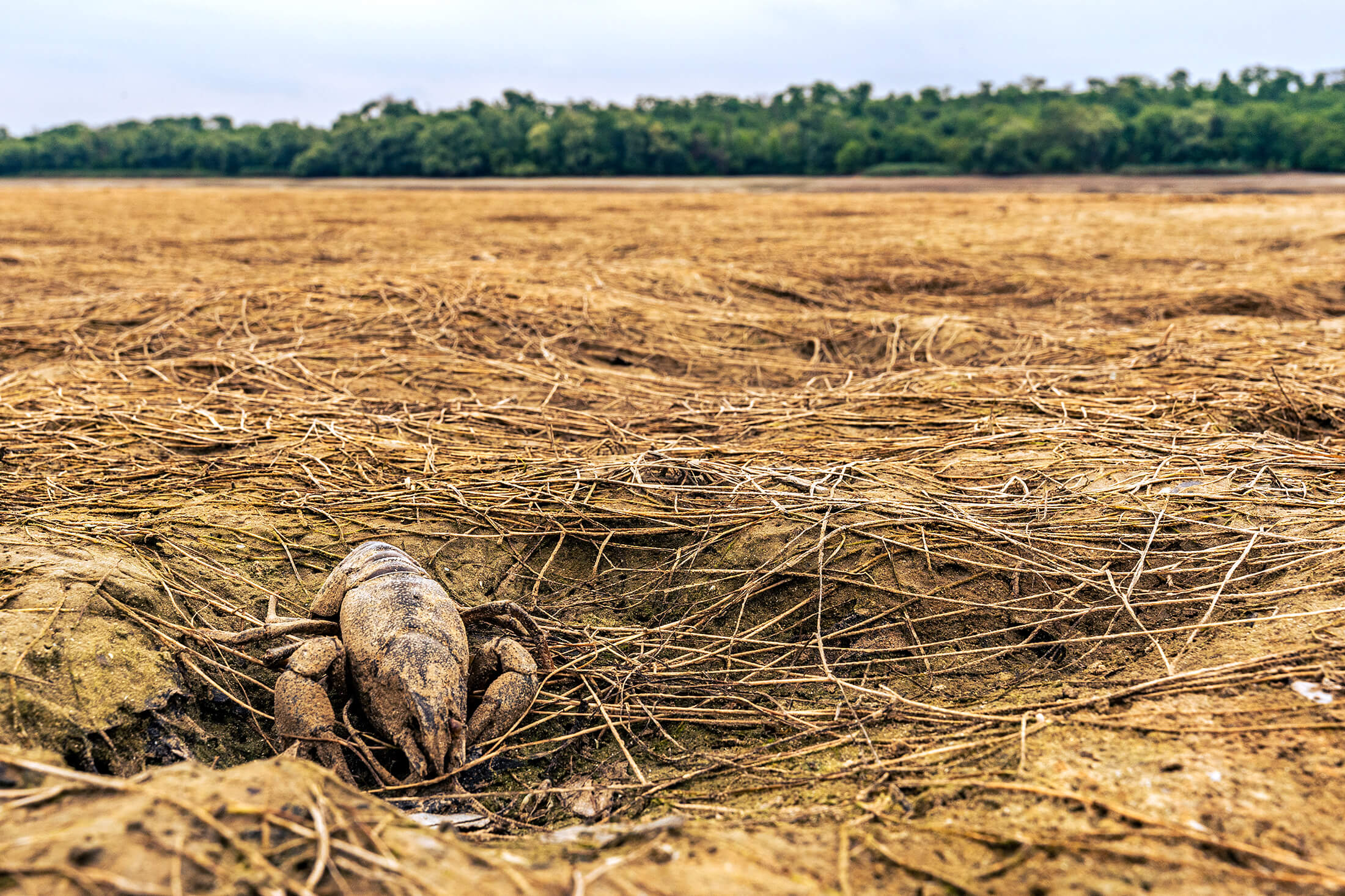 The breach of the Kakhovka Dam breach significantly lowered water levels in the area above it, creating a humanitarian and environmental catastrophe.