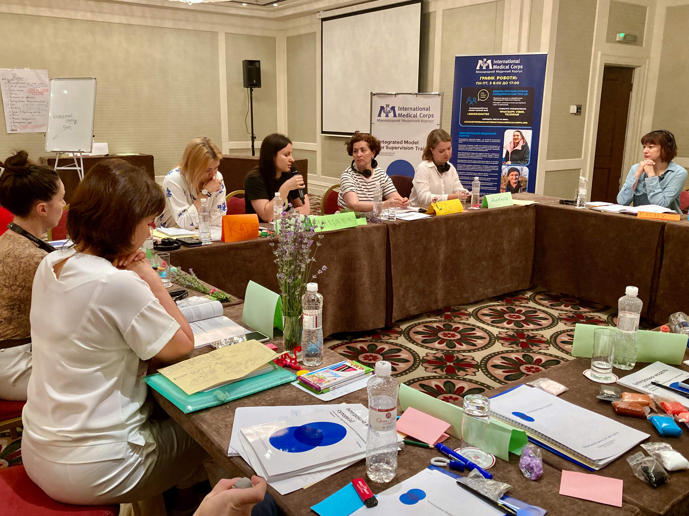 Consultant Kelly McBride (seated, right) leads an IMS training session for participants from high-level Ukrainian bodies and agencies, including the Coordination Center for Mental Health, the Ministry of Social Policy and State Emergency Services.