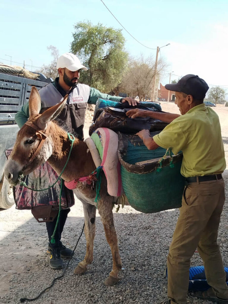 A man loads a donkey with critical supplies—including hygiene kits, tents and solar-powered lamps—to take them to families in remote villages, as part of an initiative supported by International Medical Corps.