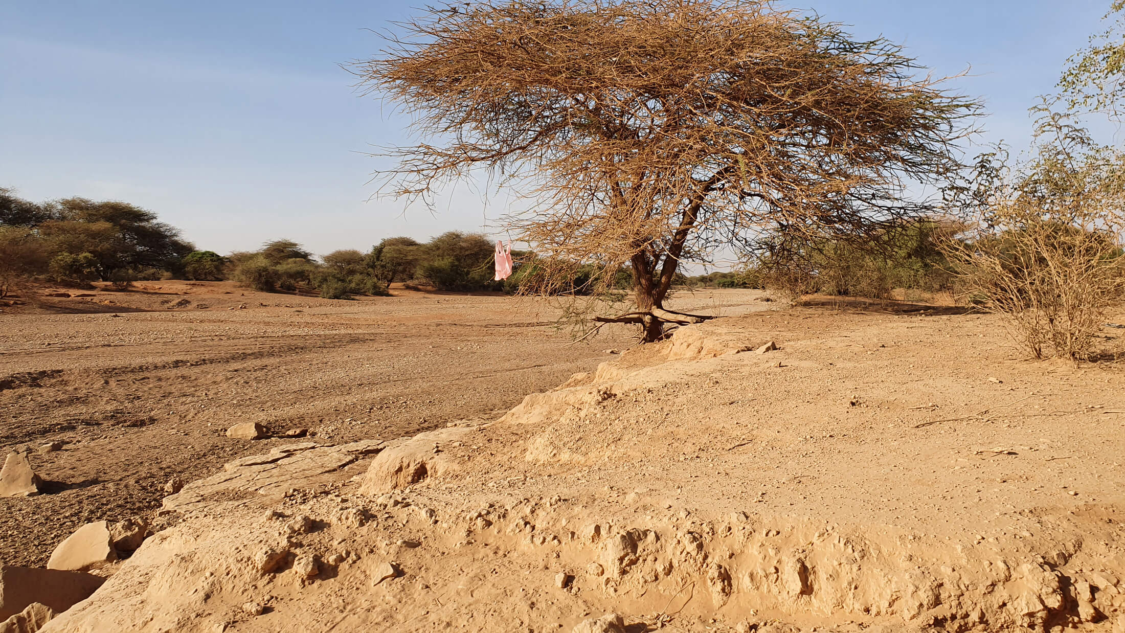 A river bed has completely dried up in Dollo Ado in Ethiopia, a country prone to drought.