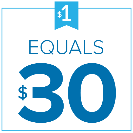 1 dollar equals 30 dollars